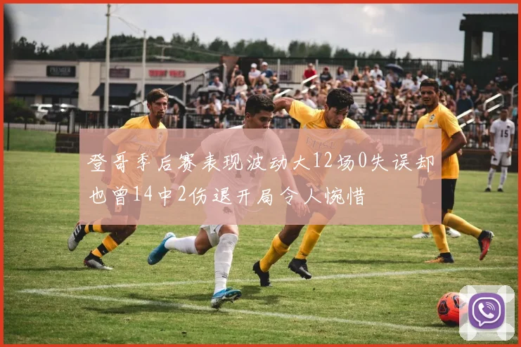 登哥季后赛表现波动大12场0失误却也曾14中2伤退开局令人惋惜